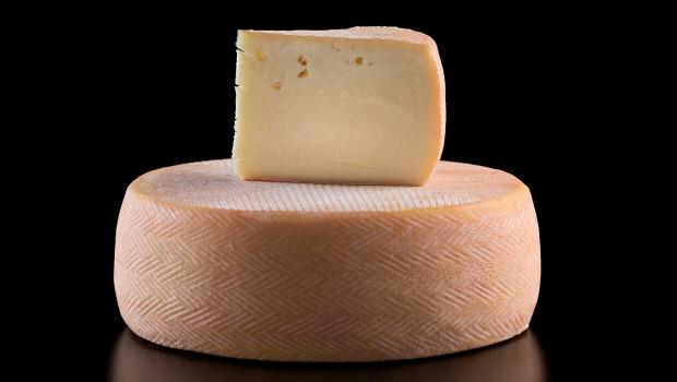 "Tomme : Un Voyage Gourmand à Travers les Fromages Traditionnels